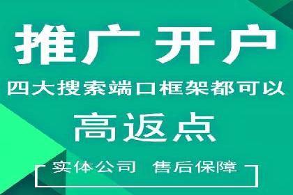 网络推广竞价实战案例分析集